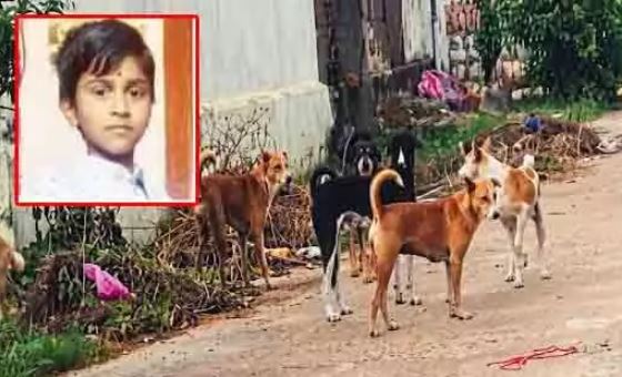 వీధి కుక్కల దాడి : బాలుడు బలి